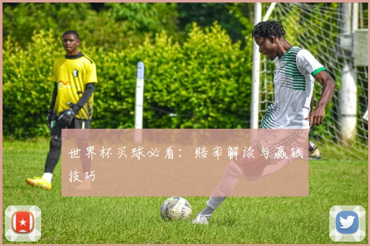 世界杯买球必看：赔率解读与赢钱技巧