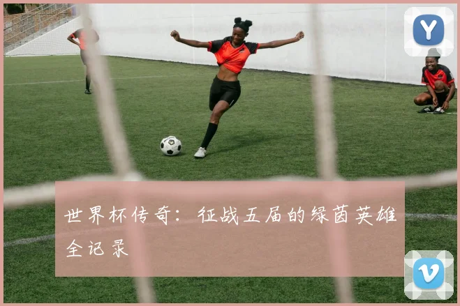 世界杯传奇：征战五届的绿茵英雄全记录
