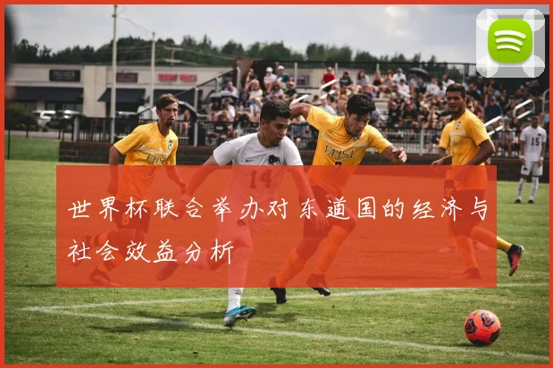 世界杯联合举办对东道国的经济与社会效益分析