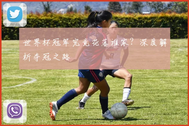 世界杯冠军究竟花落谁家？深度解析夺冠之路