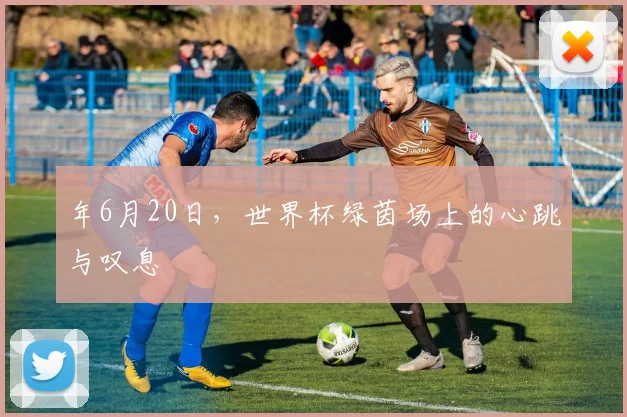 年6月20日，世界杯绿茵场上的心跳与叹息