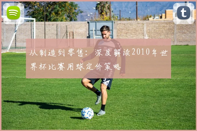 从制造到零售：深度解读2010年世界杯比赛用球定价策略