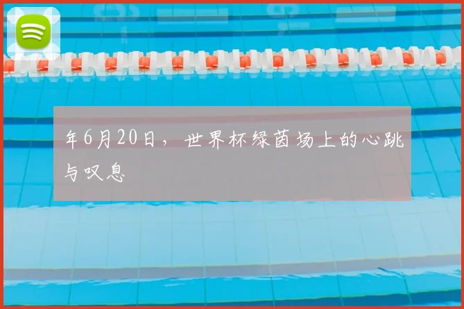 年6月20日，世界杯绿茵场上的心跳与叹息